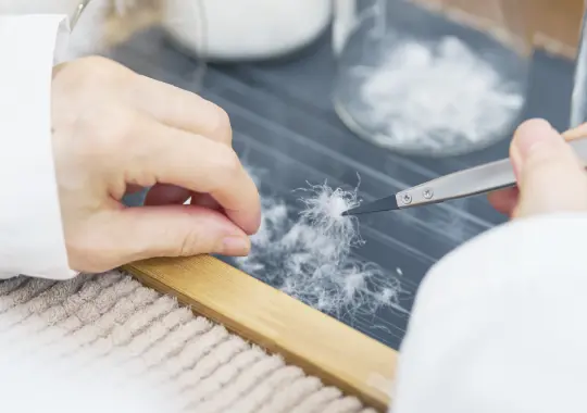 羽毛を検査する作業の様子